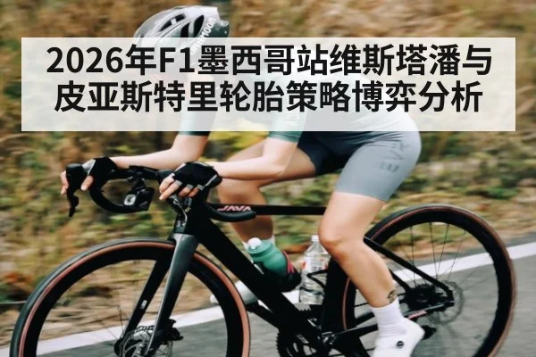 2026年F1墨西哥站维斯塔潘与皮亚斯特里轮胎策略博弈分析（kaiyun）